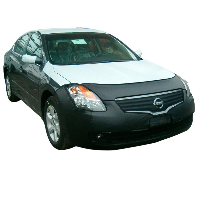 007-1256 Cuadro Antifaz Elite-Bra ALTIMA 2009 - Imagen 1