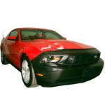 Antifaz Elite-Bra MUSTANG 2010
